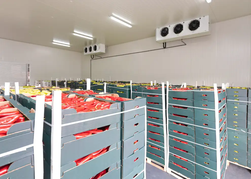 Kho lạnh mini cho cửa hàng