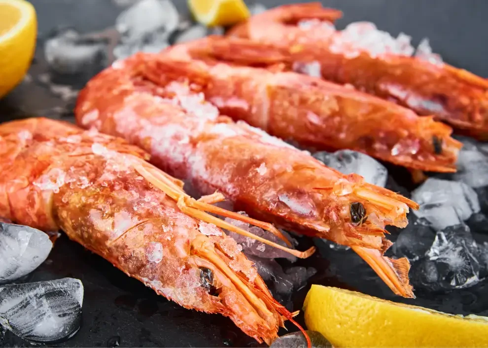 Kho lạnh cho hải sản đông lạnh